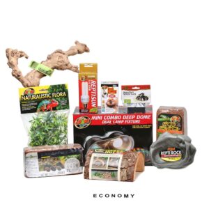 COMPLETE Ground Boa Setup available for sale