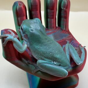 CBB Blue Phase Snowflake Whites Tree Frog